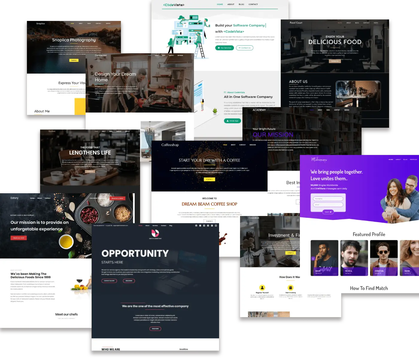 Professional Themes